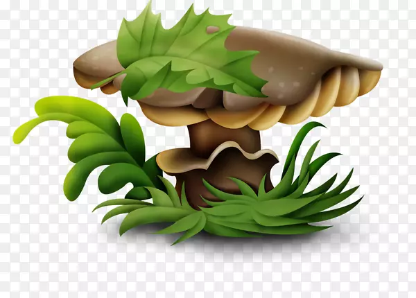 灵芝蘑菇.手绘叶和蘑菇