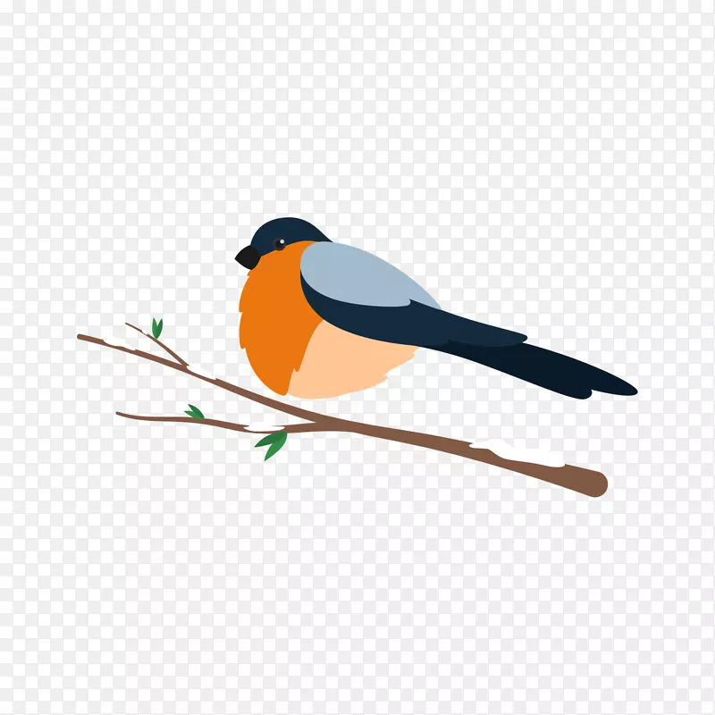 爱鸟鹅鹦鹉-鸟类插图