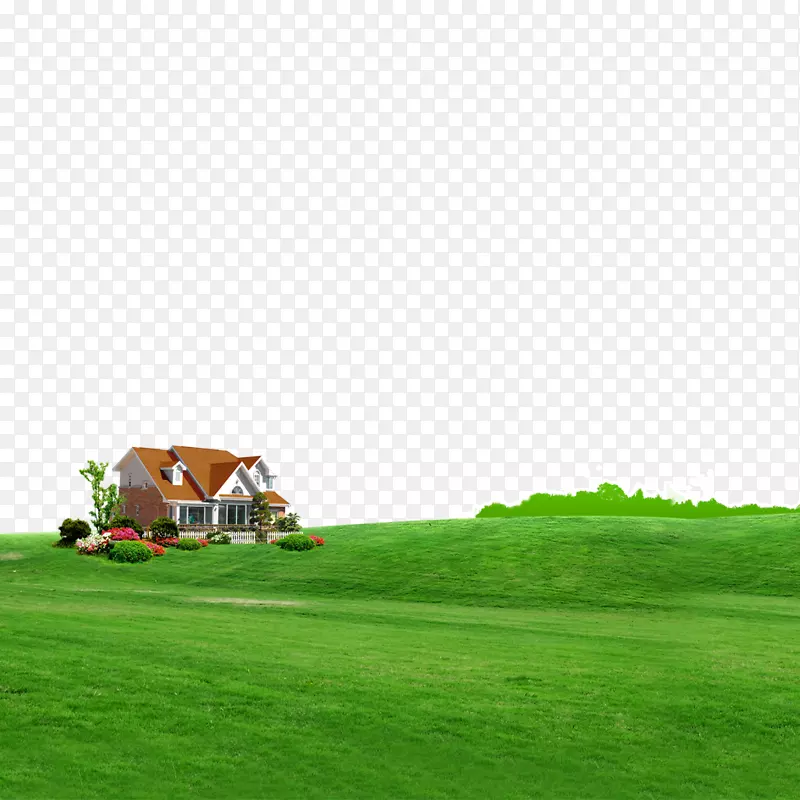绿色草原壁纸-草原绿色家园