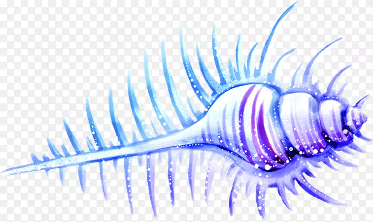海螺-蓝色卡通手绘美丽的海螺