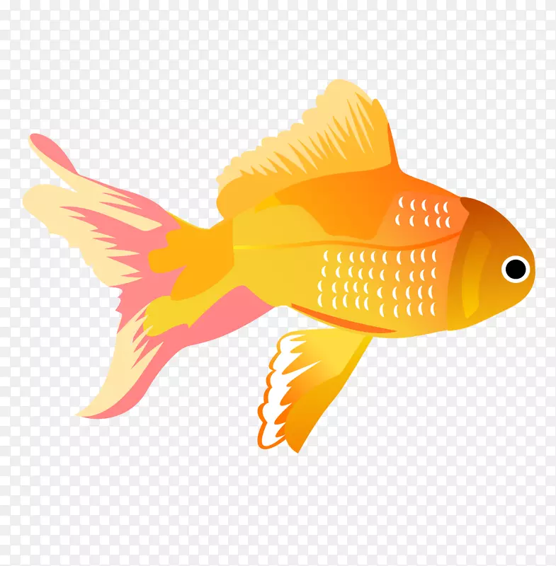 锦鲤鱼夹艺术-黄色热带鱼