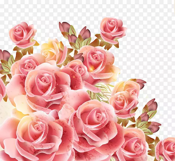 玫瑰皇室-免费摄影剪贴画-浪漫情人节玫瑰