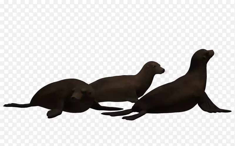 海狮三维动画-鱼类水下世界
