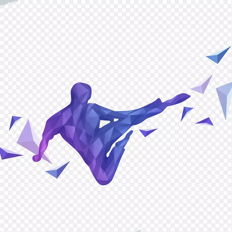 武术平面设计半启道空手道插图-紫色抽象武术插图
