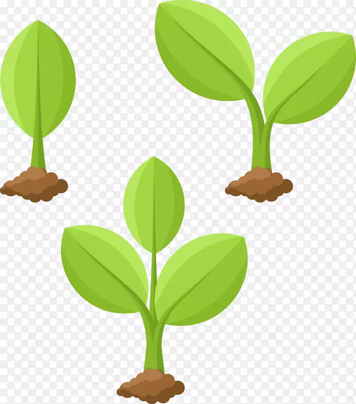 植物卡通插图.图植物生长