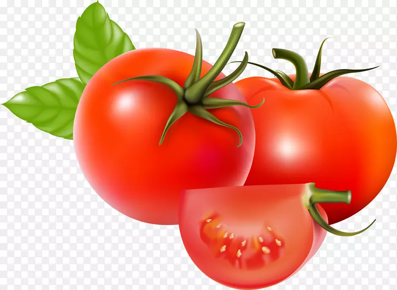 李子番茄灌木丛番茄汤蔬菜