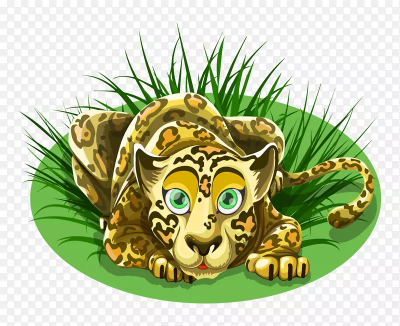 豹黑豹t恤zazzle-腹部画的卡通豹在草地上