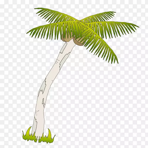 槟榔科椰子树手绘卡通椰子图片