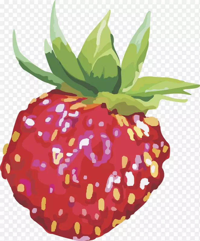 草莓果实载体草莓果实
