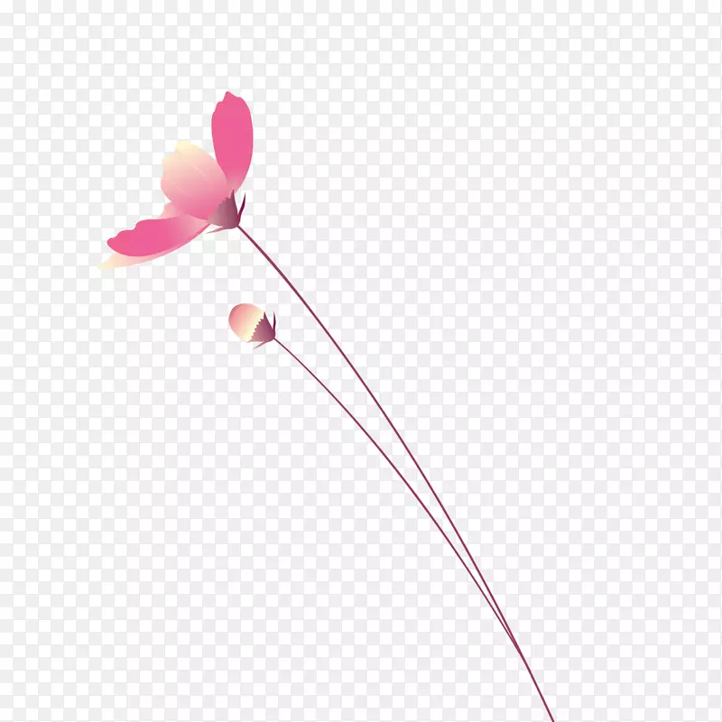 粉红色花束-一束粉红色的花