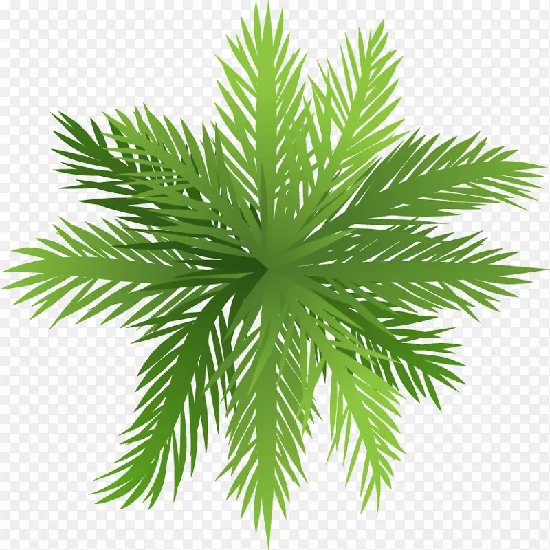 槟榔科树木热带雨林植物-卡通大鲜椰子