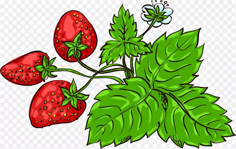 草莓碎裂病毒片艺术.绿色手绘草莓