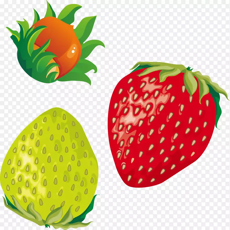 草莓李果实-红色草莓绿李子