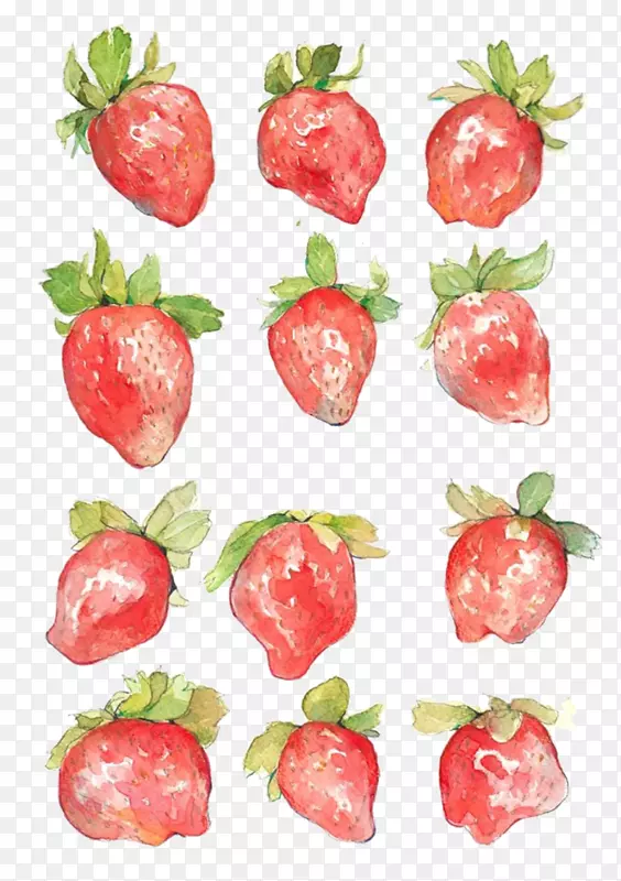 水彩画Aedmaasikas插图.手绘草莓