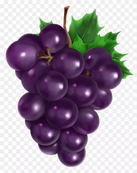 普通葡萄籽油鳄梨油三维卡通紫色葡萄