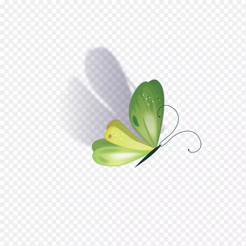 蝴蝶绘图软件-蝴蝶