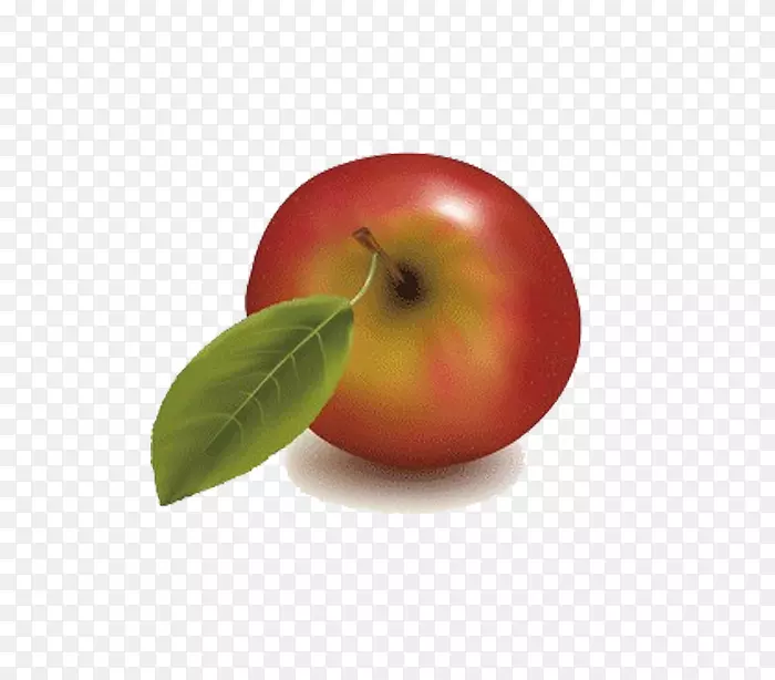 不含水果内容夹艺术-红苹果