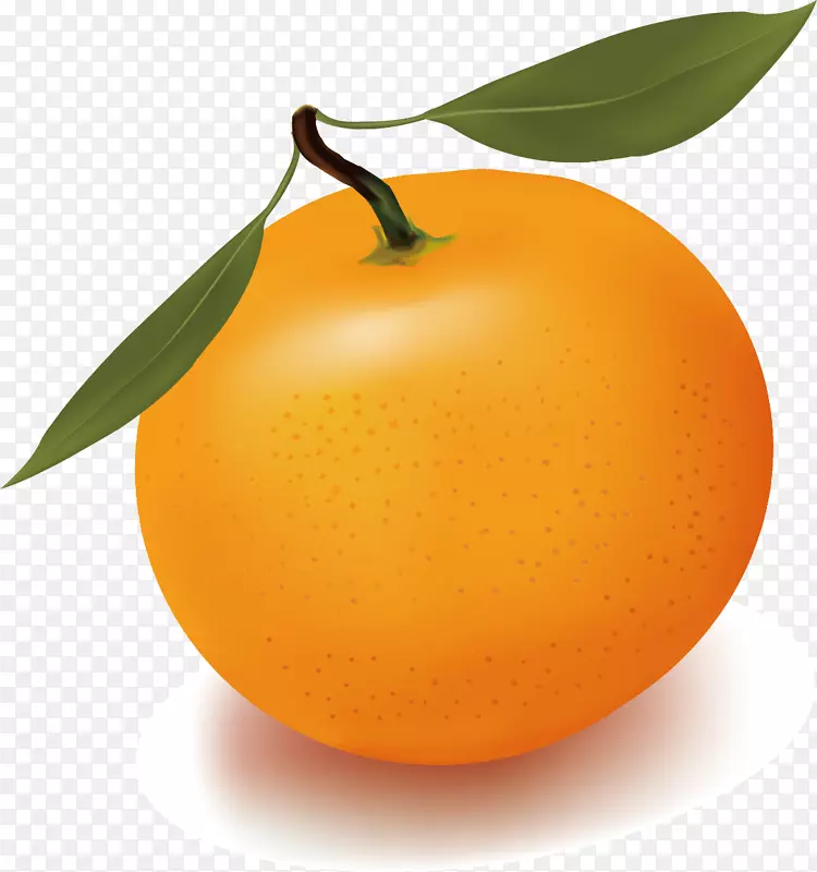 橙汁免费内容剪辑艺术.橙色