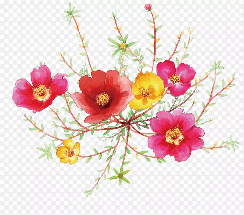 水彩画插图-鲜艳的花朵