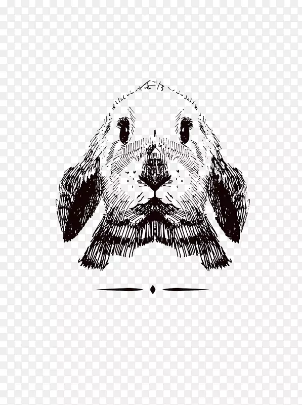 达尔马提亚狗画-素描兔