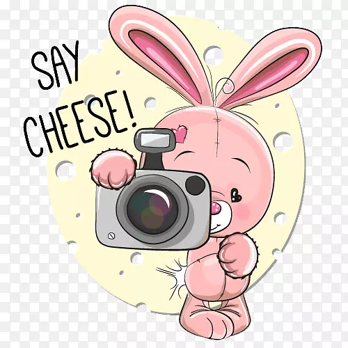 说奶酪摄影插图-摄影兔子
