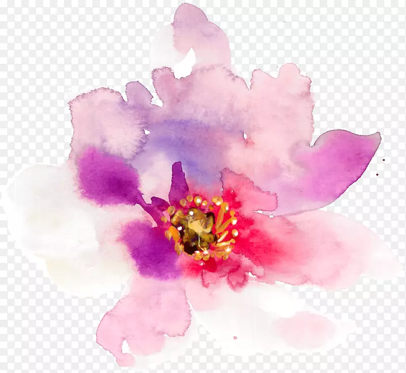 花卉设计水彩画手绘水彩画春花
