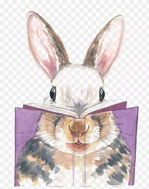 水彩画兔子艺术家-兔子阅读