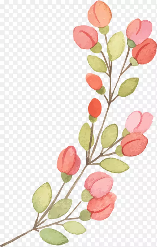 粉红花卉图案-手绘粉红花骨