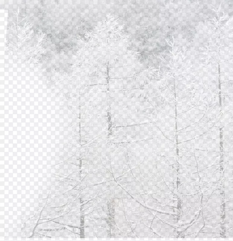 白色黑角图案-冬季白树