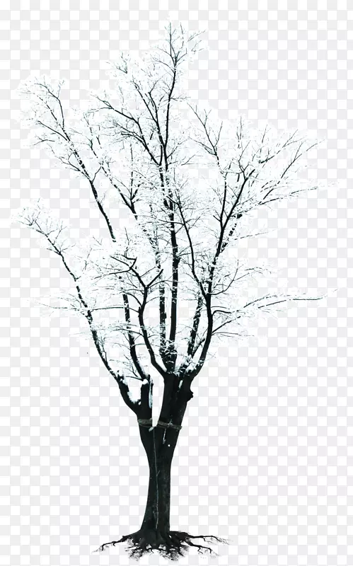 树枝冬季剪贴画-冬季雪枝创作