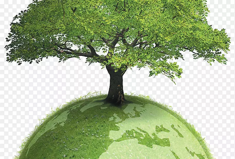 环境友好型可持续发展文件环保-爱护树木保护地球