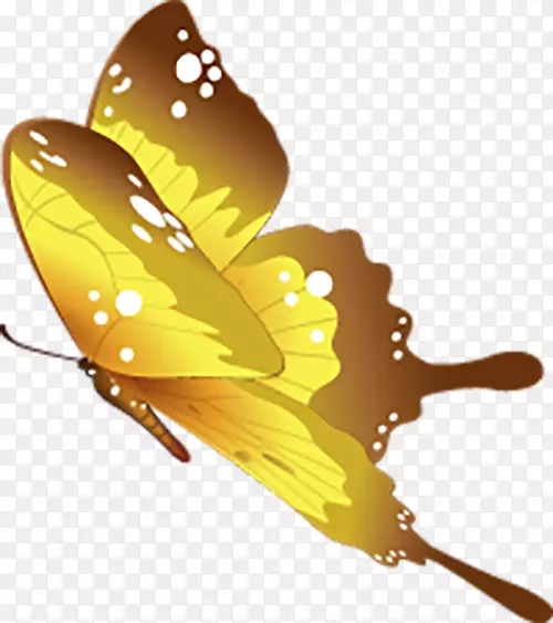 蝴蝶主题-美丽的蝴蝶装饰飞翔