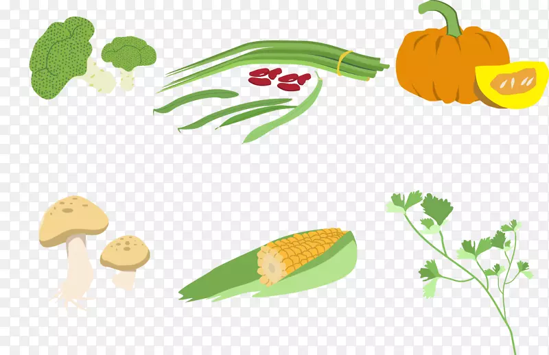 素食蔬菜插图.插图蔬菜