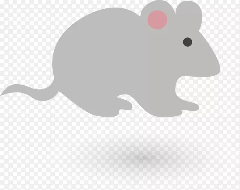 大鼠绘图插图.手绘鼠标