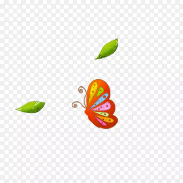 蝴蝶电脑壁纸-蝴蝶