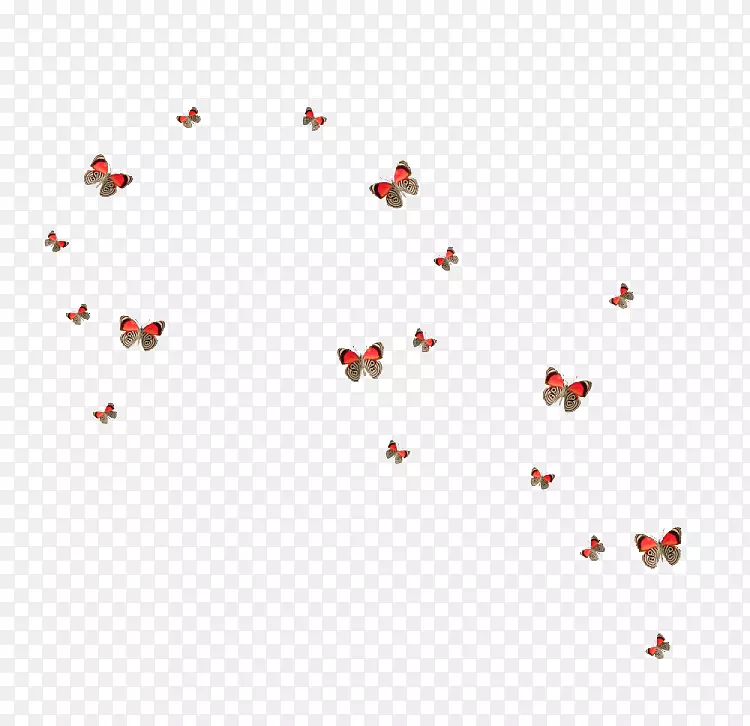 蝴蝶透明度和半透明图标-蝴蝶