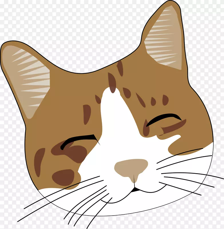 猫脸夹艺术-可爱猫