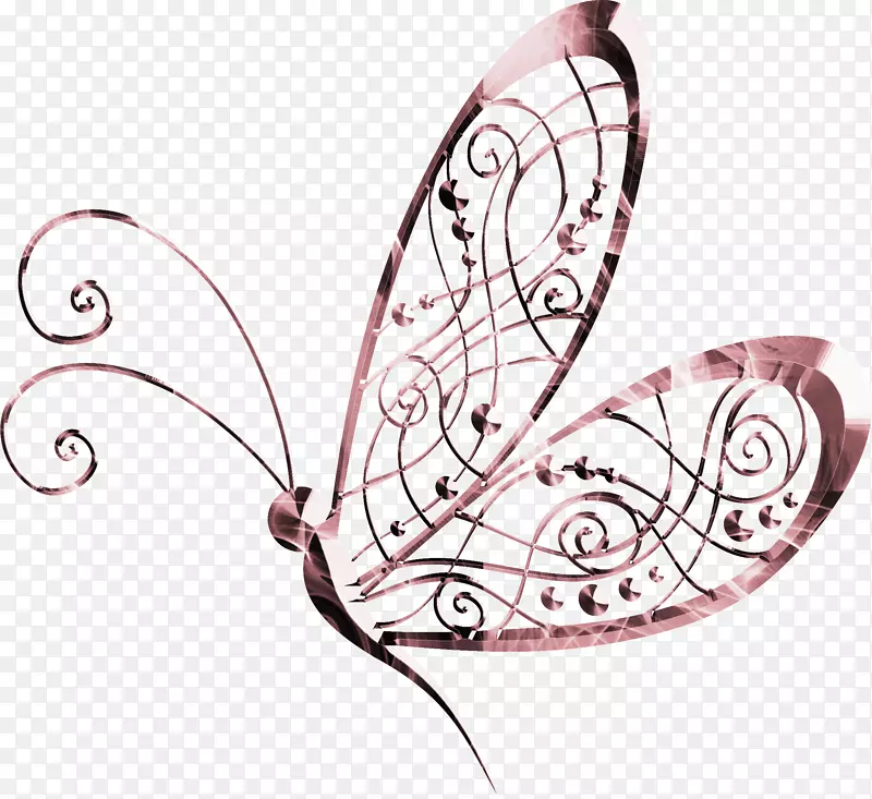 蝴蝶蛾图-美丽的蝴蝶