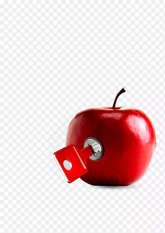 邢台数字营销苹果业务-织构红苹果锁
