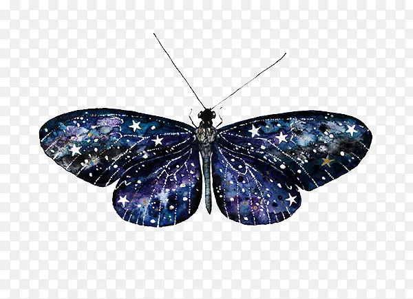 艺术家绘画插图-天空星空动物蝴蝶