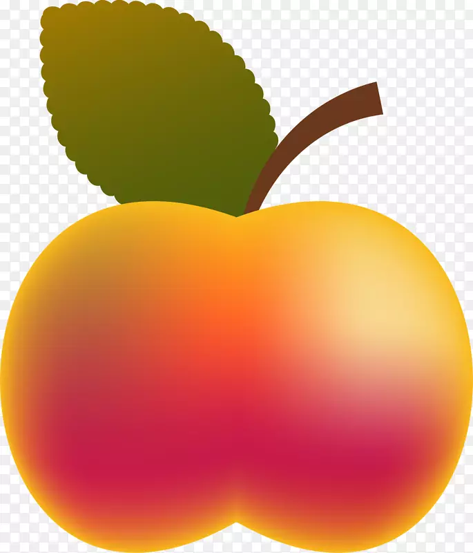 苹果插图-苹果