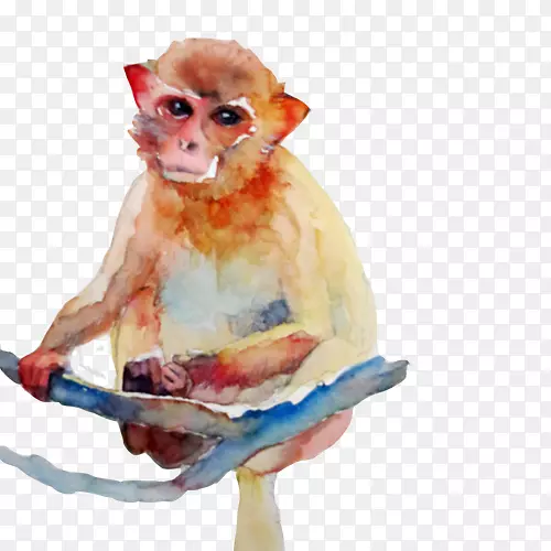 金丝猴水彩画猴子-金丝猴水彩画材料