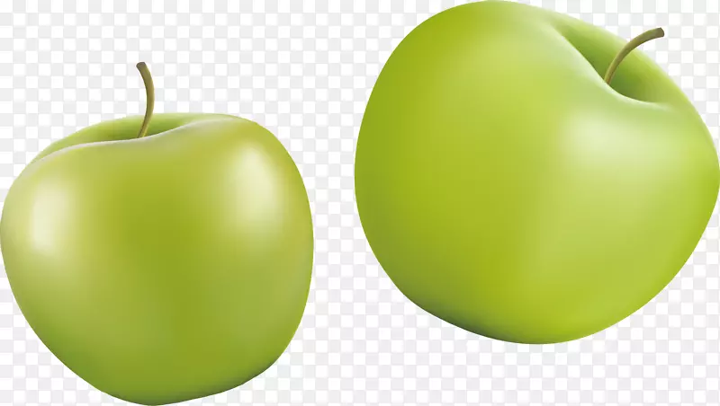 史密斯奶奶绿色超级食品天然食品.绿色苹果的农业和副业产品