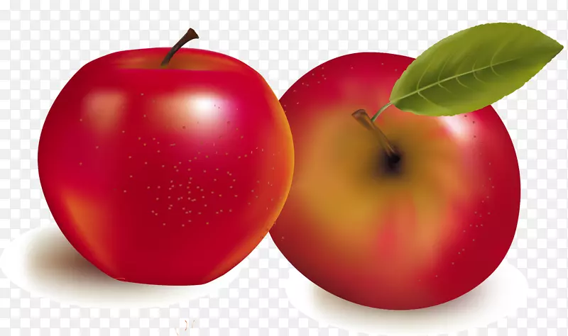 水果版税.免费摄影插图.手绘苹果
