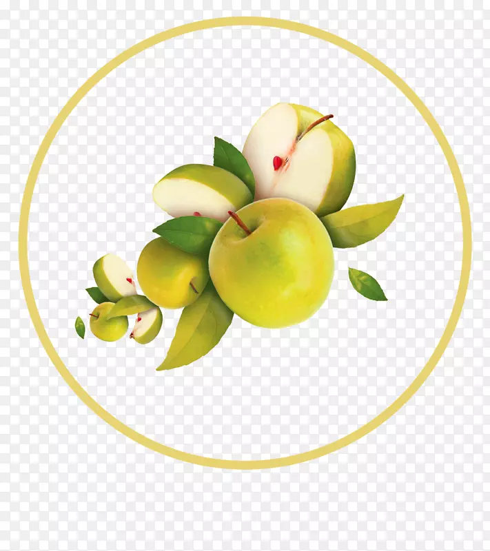 苹果奥格里斯图标-绿色简单的苹果装饰图案
