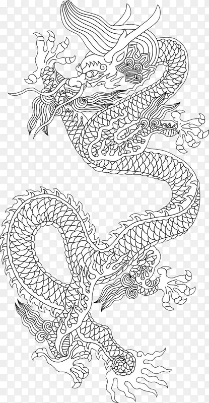 龙素描手绘龙