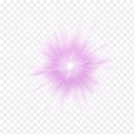 花瓣诗词计算机图形-紫色荧光