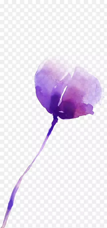 水彩画：花卉水彩画-紫花水彩画