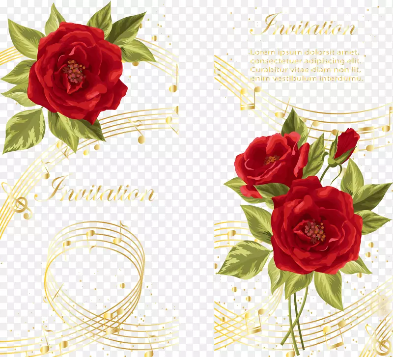 音乐音符玫瑰摄影.欧式玫瑰和音符