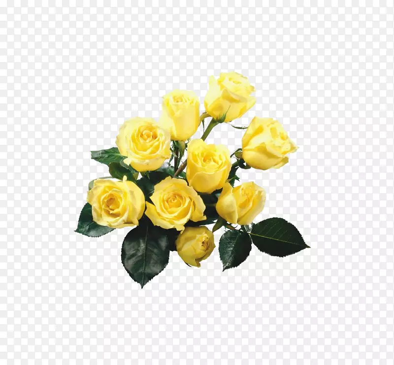 玫瑰黄色花束壁纸-一束黄色玫瑰